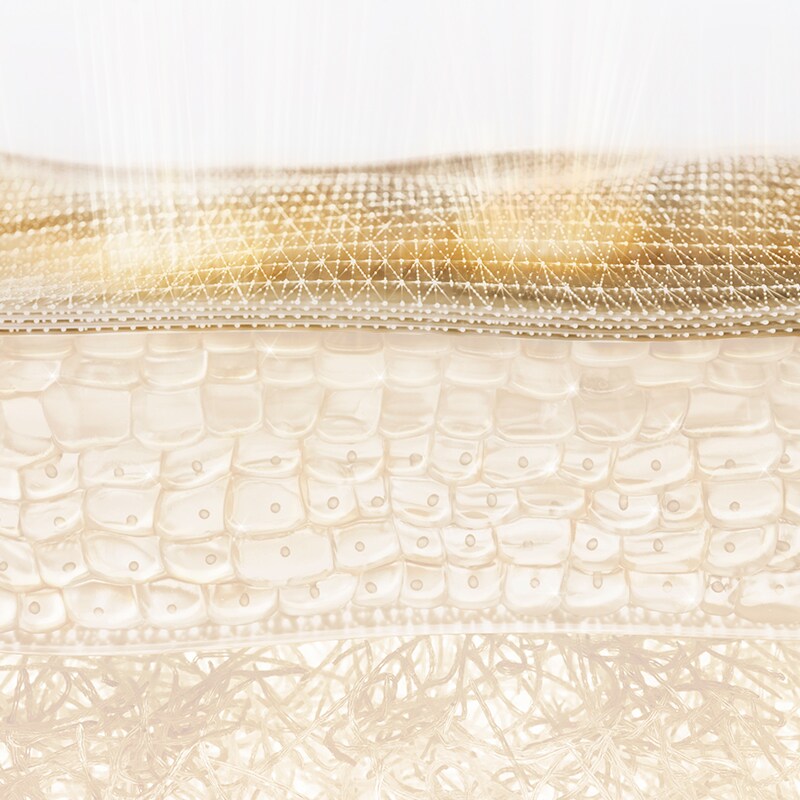 <p style="text-align: center;font-size:25px;line-height:28px;"><strong>IN THE STRATUM CORNEUM</strong></p>
<p style="text-align: center;font-size:18px;line-height:28px">Potent ingredients support barrier <br /> strength, boost skin’s natural ceramides<br /> and help prevent lipid peroxidation.</p>
